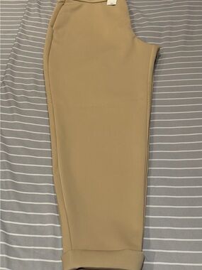 Express Wide Leg Pants in Camel Tan